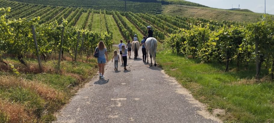 Ponyabenteuer im Gelände